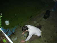  17-What the hell is Jake doing.jpg 